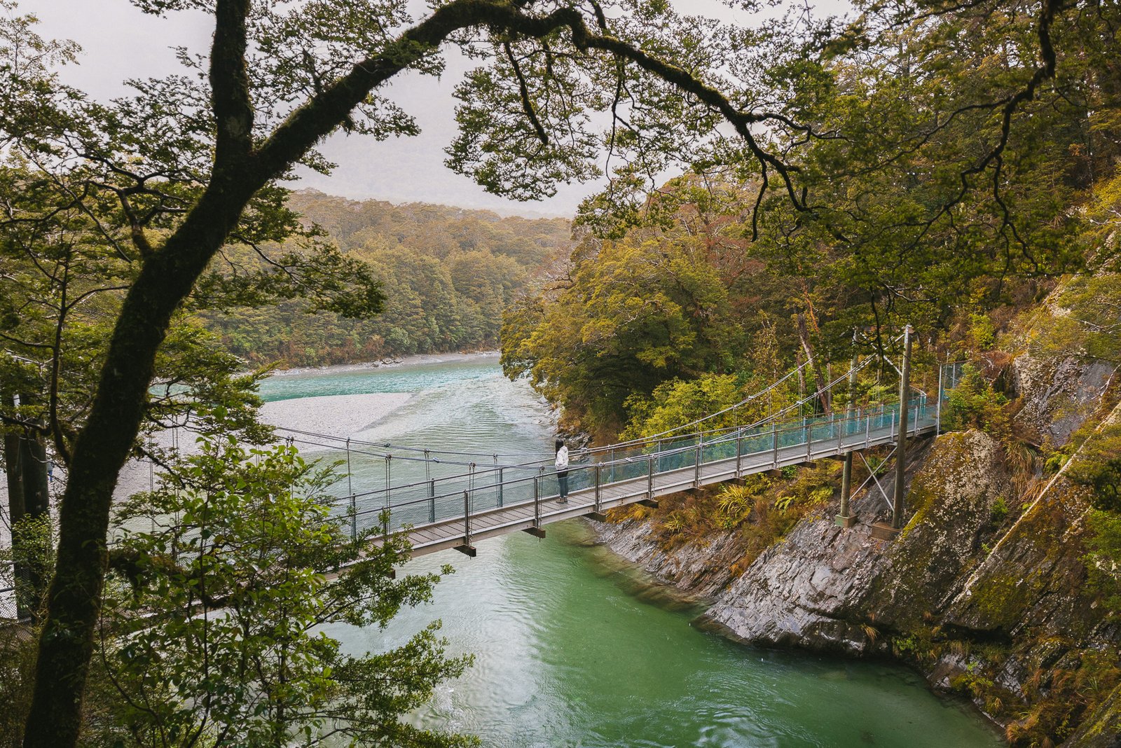 Suspension bridge on the Blue Pools Wanaka walking track