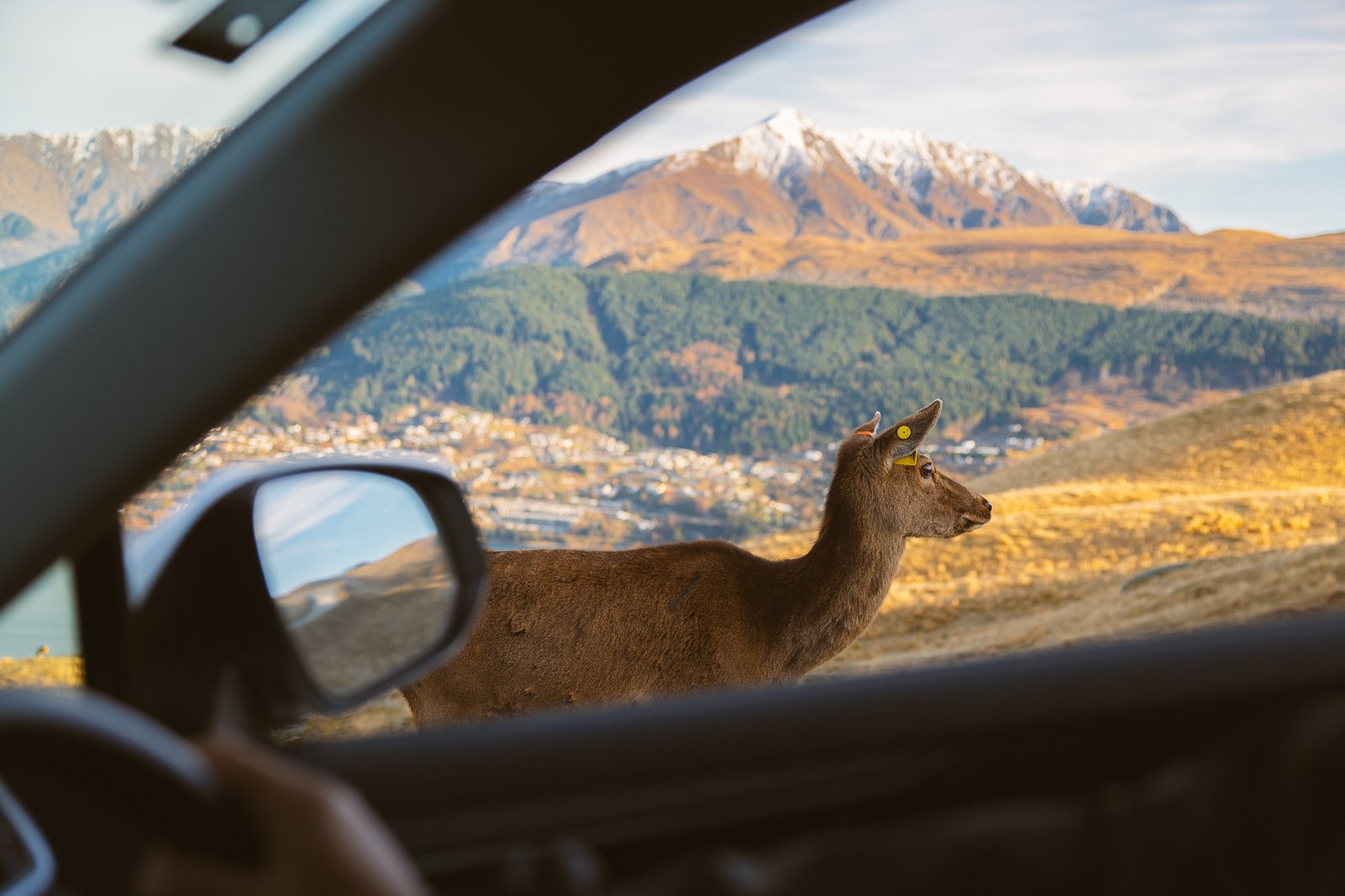 Deer Park Heights overlooking Queenstown and Lake Wakatipu