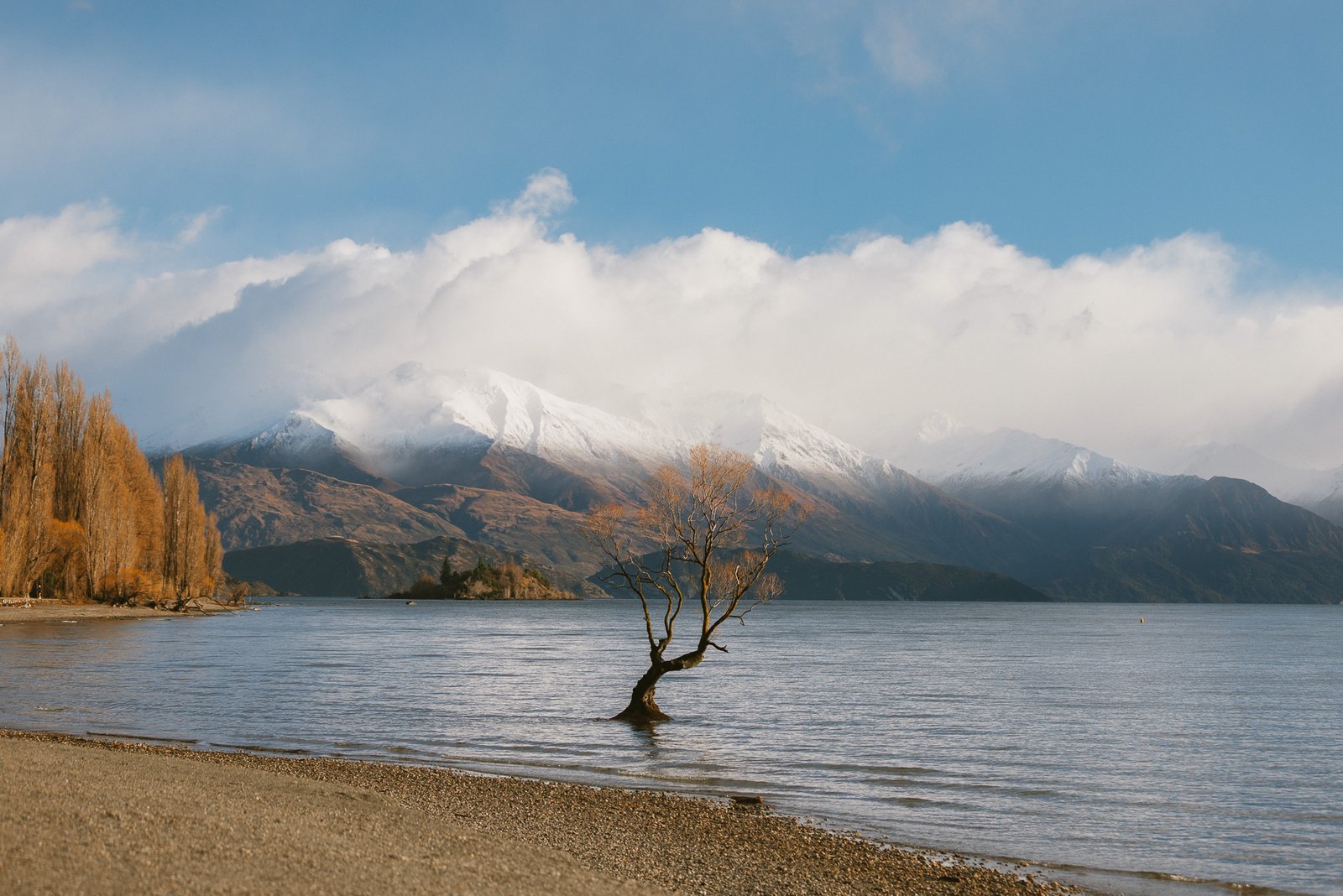 That Wanaka Tree on Lake Wanaka during winter